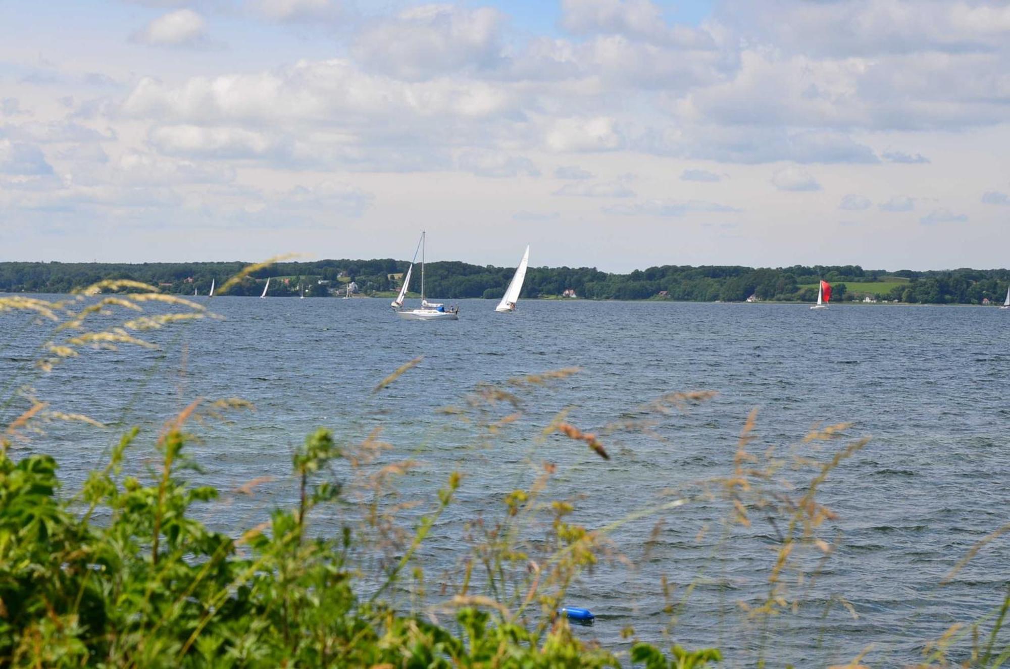 Ferienwohnung Skovsende 25 Glücksburg Exteriér fotografie